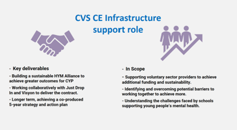 CVSCE Infrastructure support role diagram showing key deliverables and their scope